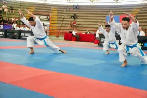 kata equipo venezuela