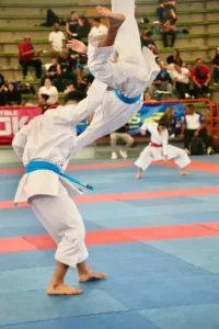 kata equipo venezuela